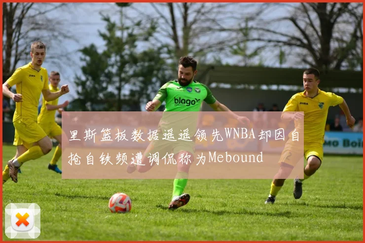 里斯篮板数据遥遥领先WNBA却因自抢自铁频遭调侃称为Mebound