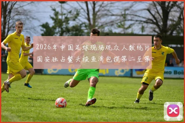 2026年中国足球现场观众人数统计国安独占鳌头梭鱼湾包揽第二至第七位