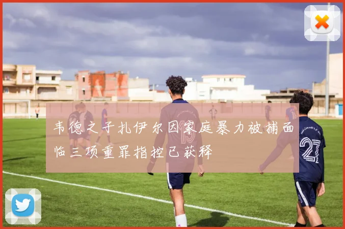 韦德之子扎伊尔因家庭暴力被捕面临三项重罪指控已获释